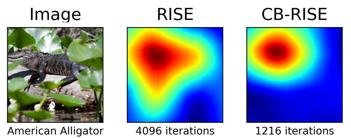 CB-RISE: Improving the RISE Interpretability Method Through Convergence Detection and Blurred Perturbations